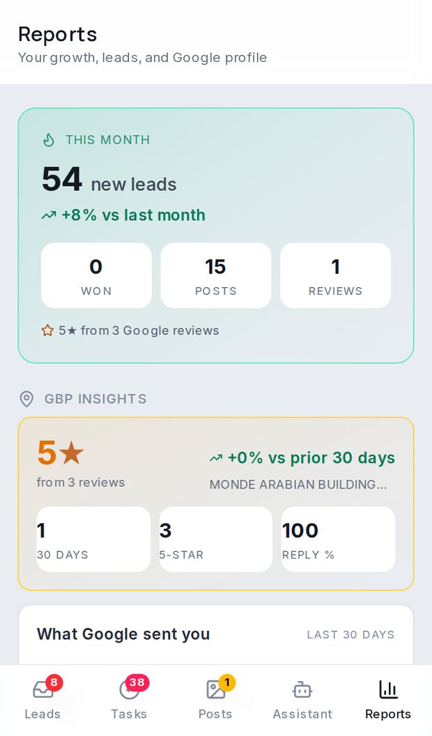 Monthly report: leads, posts, reviews